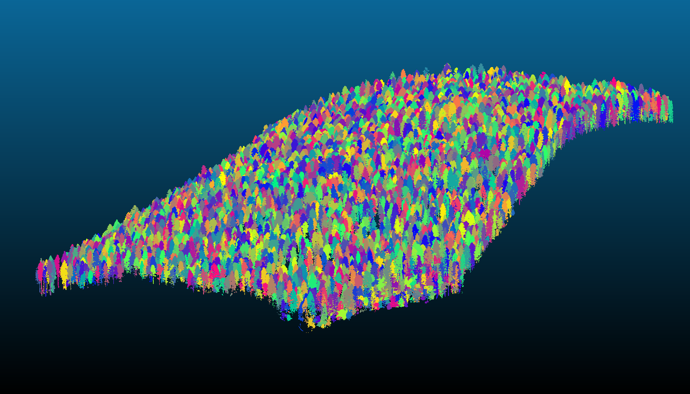 LiDAR point cloud of a forest